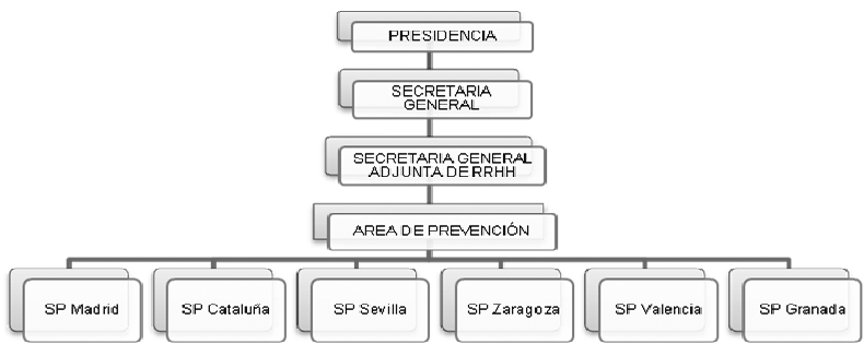 Organigrama Prevención CSIC