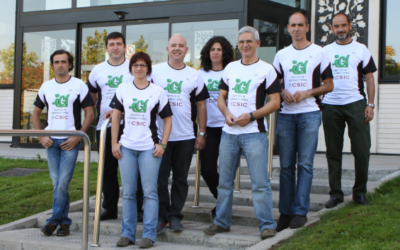 Ten participants from the ICV in the next Race for the Science organized by CSIC.