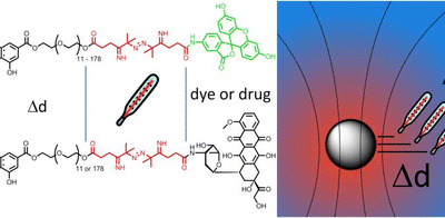 Probing and controlling temperature with sub-nanometer resolution with iron oxide nanoparticles.