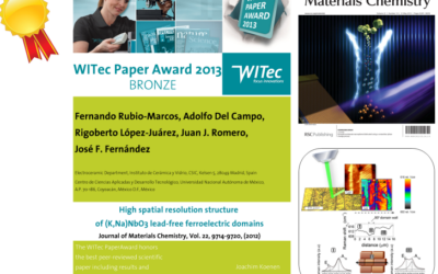One paper from ICV awarded the “Witec PaperAward 2013” to be considered one of the top three items in 2012.
